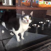 19430048 1499622320101128 1955949236018496617 n