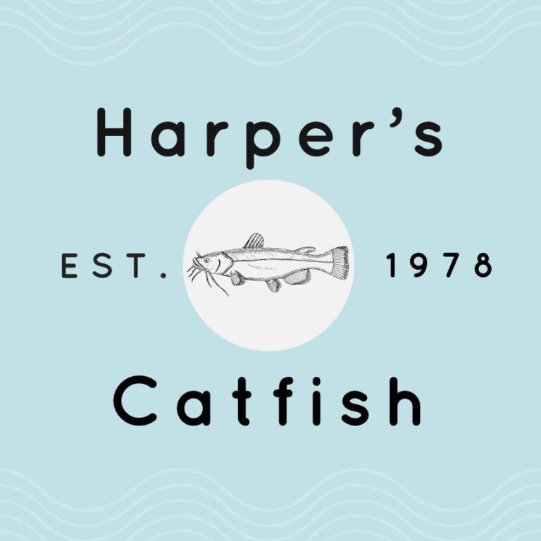 292170284 489753039619547 1104221268266947087 n 768x768