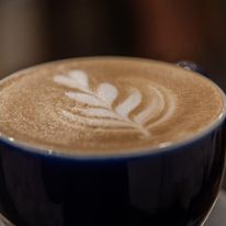 380889824 254624984210384 4664323266646467023 n