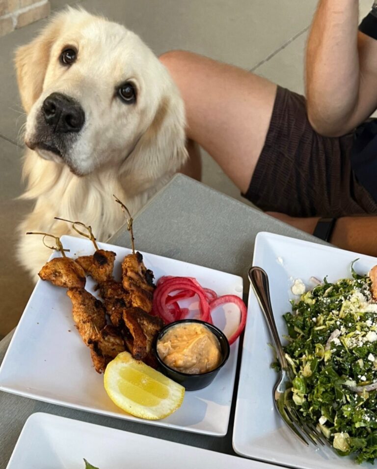 407480042 853417236788878 7714080046434366902 n 768x954