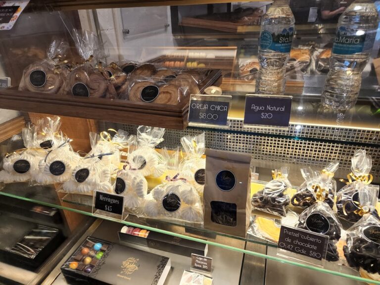 412548289 122097941408163050 8467533312921828801 n 5 768x576