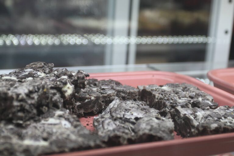 47688793 2420542517959288 5488672427070193664 n 768x512