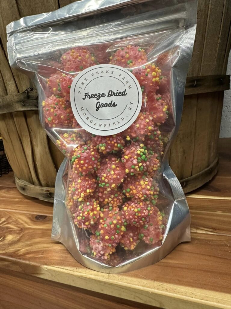 2023 02 17 65 768x1024