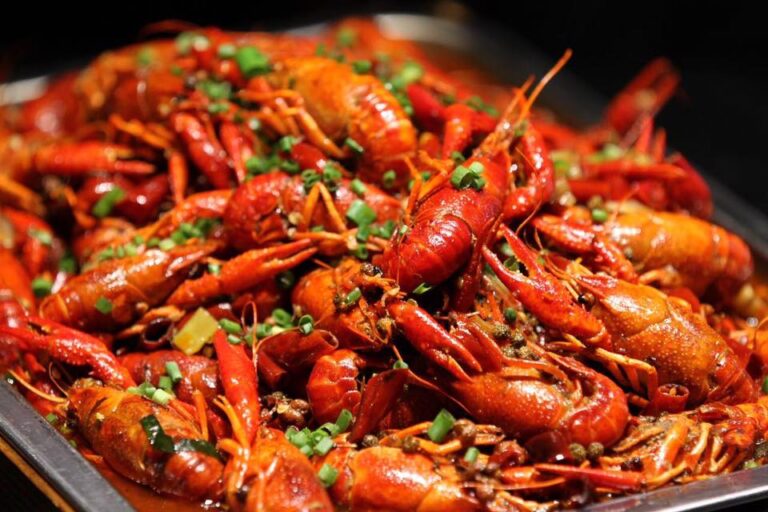 25498008 2004459879843034 5289729655839322949 n 768x512