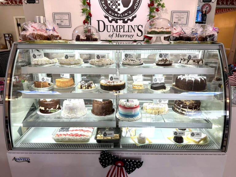 356388348 723082112957242 5682943378239733393 n 768x576