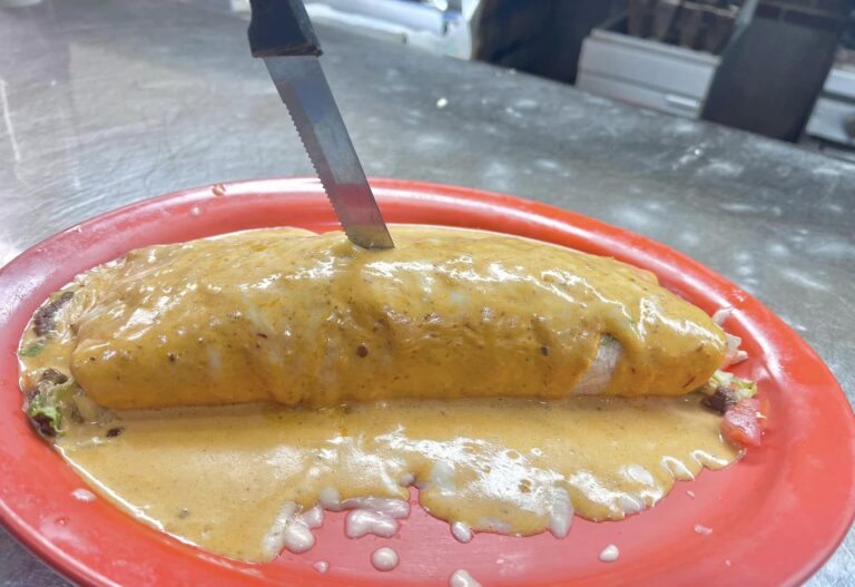 421977413 908166671309701 8387993725568512390 n 768x527