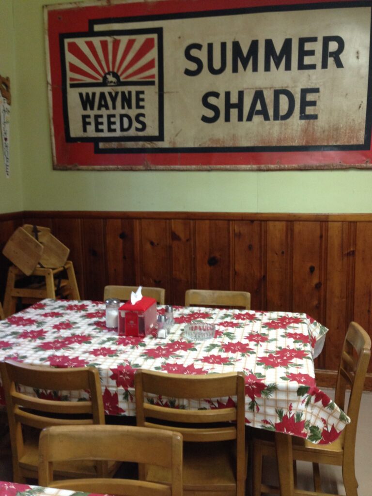 summer shade 768x1024