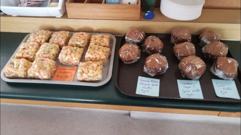 273381671 1275701552934738 8212337125675935685 n 768x431