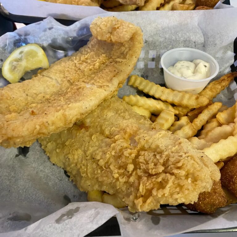 280455088 3210202739262046 6304622751277463428 n 768x768