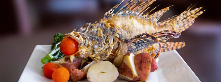 287930364 8091086004249641 7195605712929018393 n 768x287