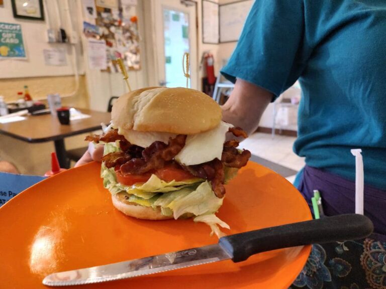 293097276 5218890964814242 3316501294225603294 n 768x576