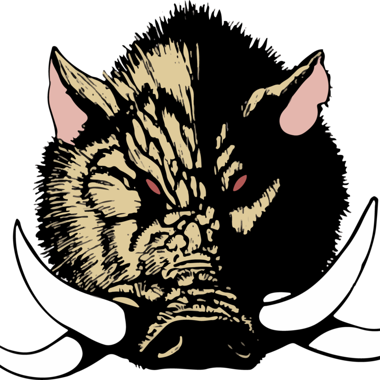 308732647 460489559432711 7410380702453220854 n 768x768