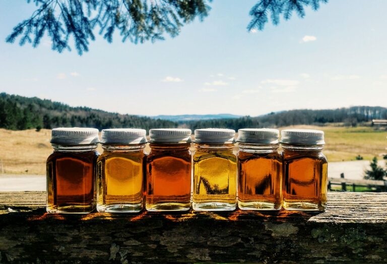 327283715 659310092549647 6093764286671604477 n 768x523