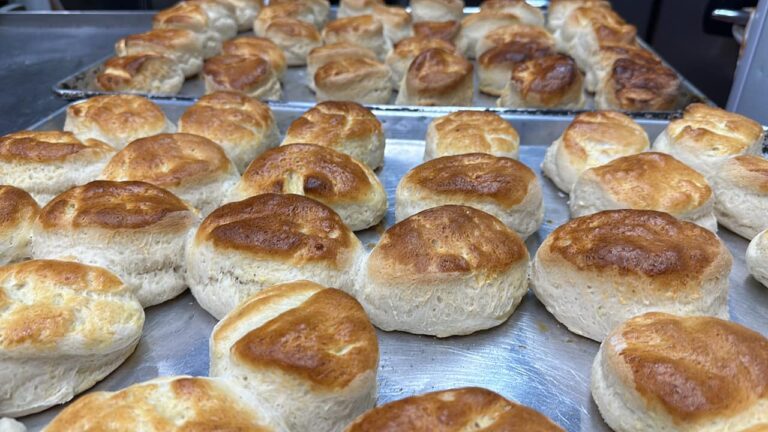 428653503 952007016927395 1985103801295383336 n 768x432