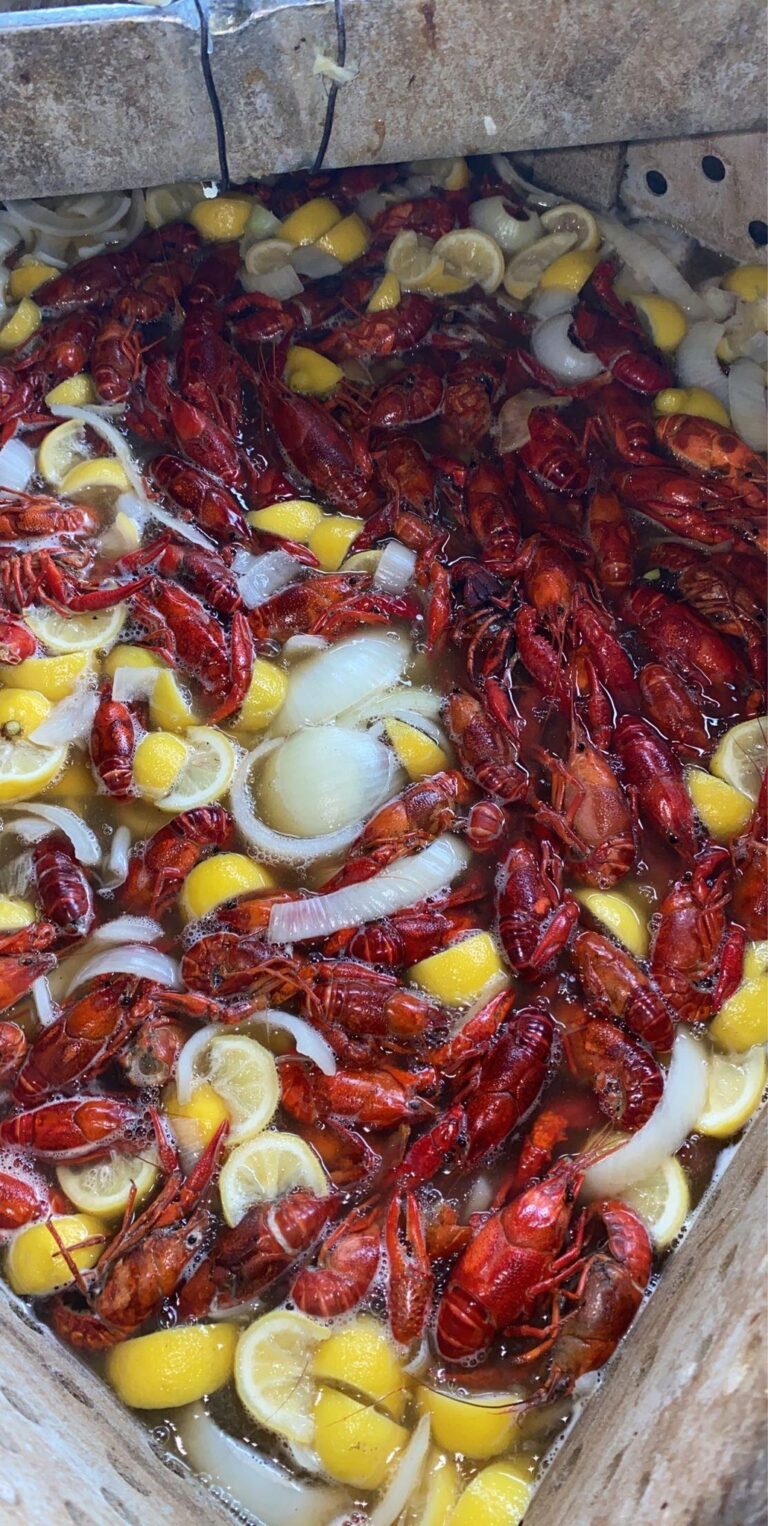 270230375 3898368643721623 2031602511467736827 n 768x1526