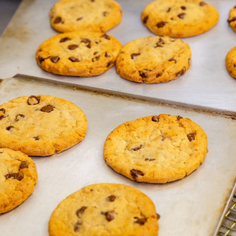 44951212 438057519932041 1502696318273847296 n 768x768