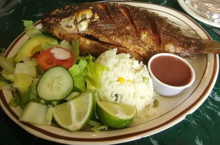 440326898 923508369785464 8717632322301565008 n 768x506