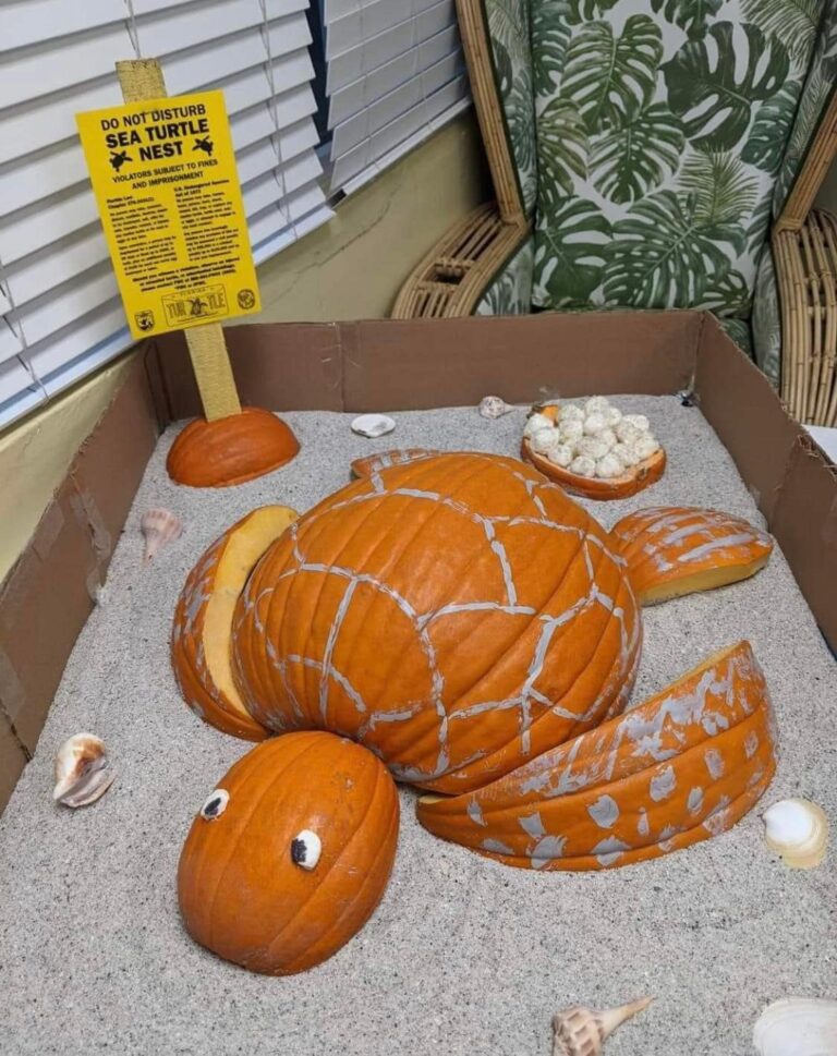 132407525 5524568710902089 7596011480343055762 n 1 768x969