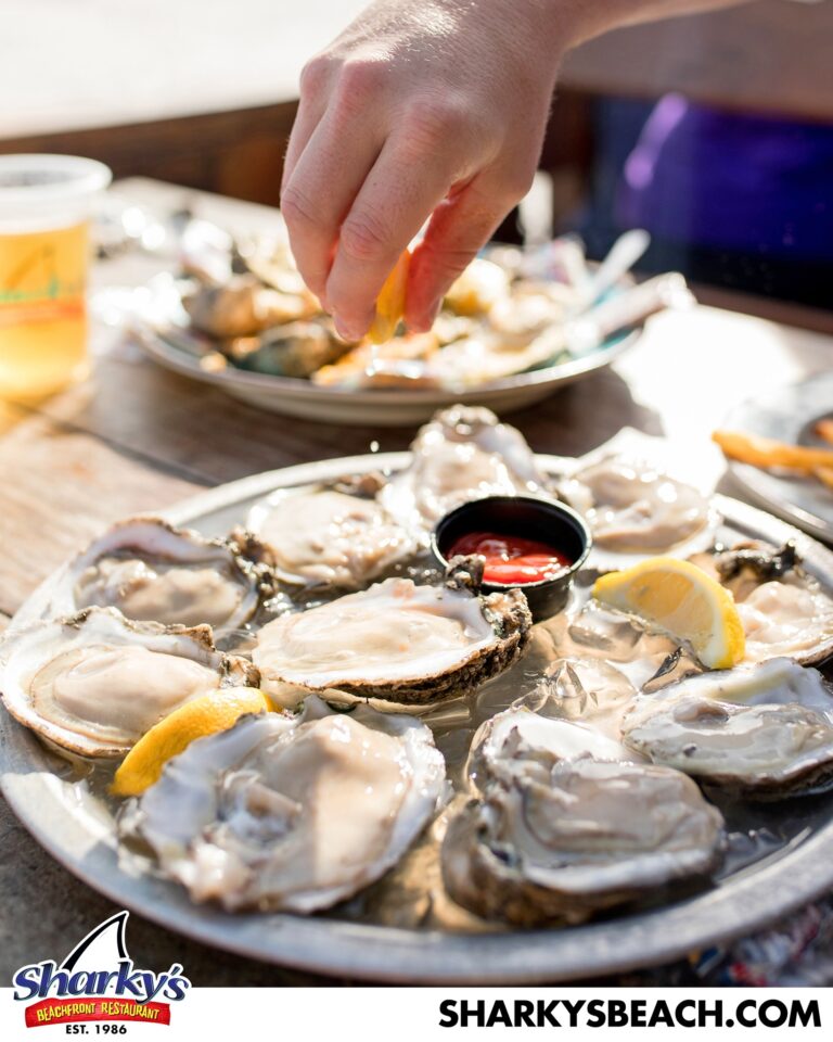 428387269 789984933170944 2898743219718929652 n 768x960