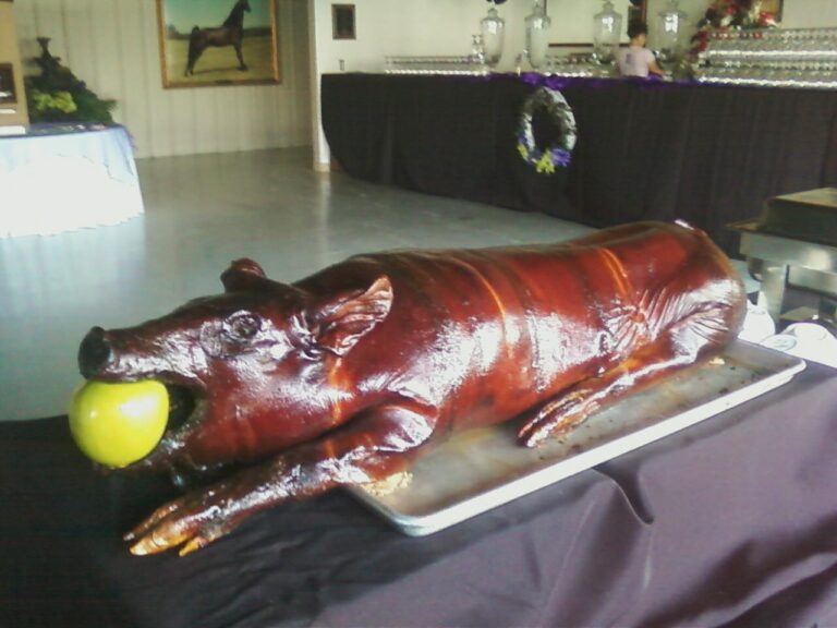 616782 290867451020951 1284370736 o 768x576