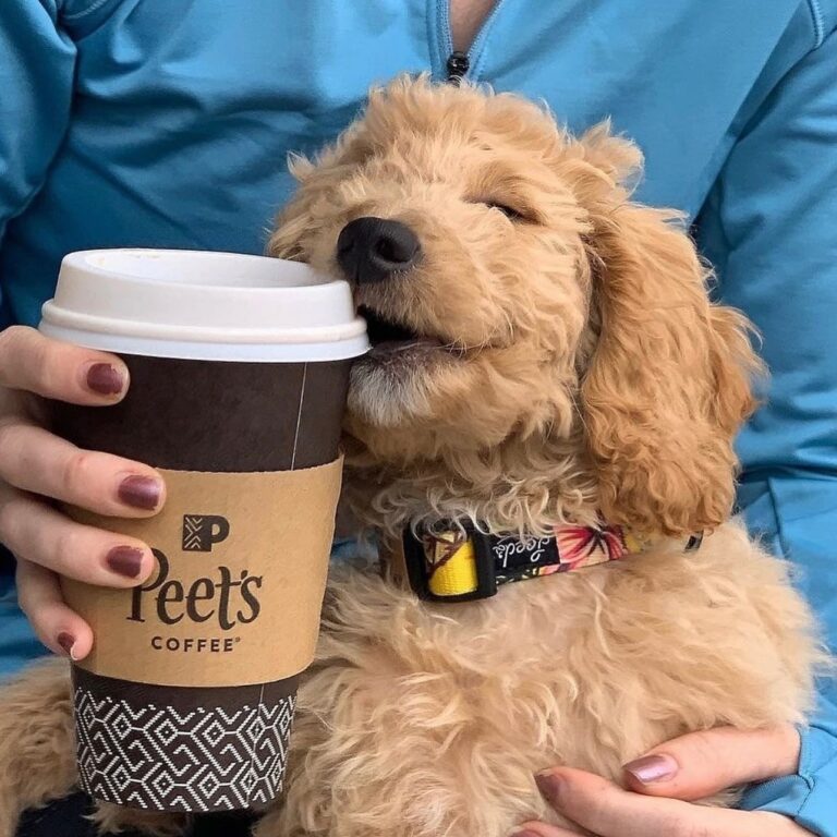 480372483 18058590034984259 6851197797304006730 n 768x768