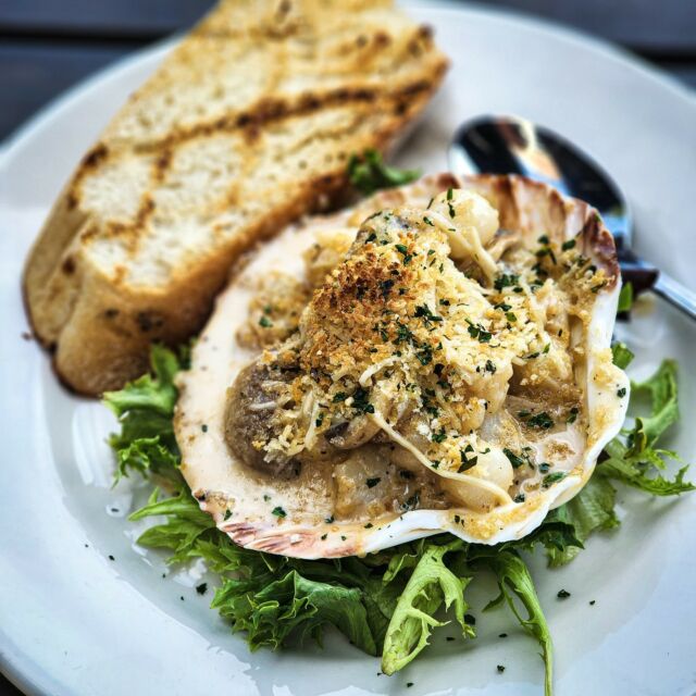 454531763 8167970566613874 3629277560030582232 nfull