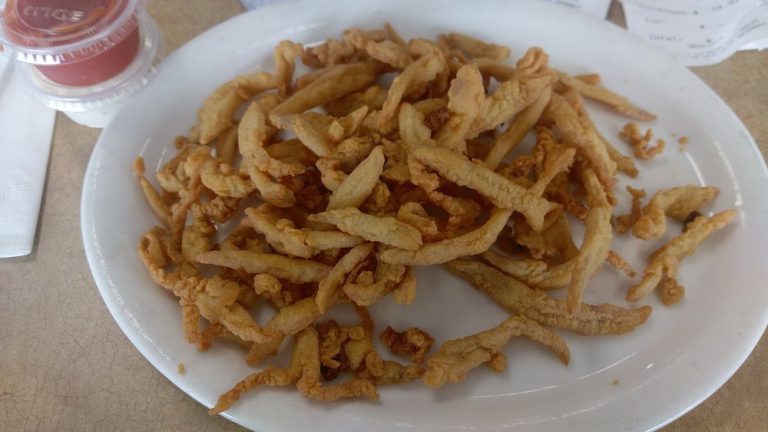 imag0515 largejpg 768x432