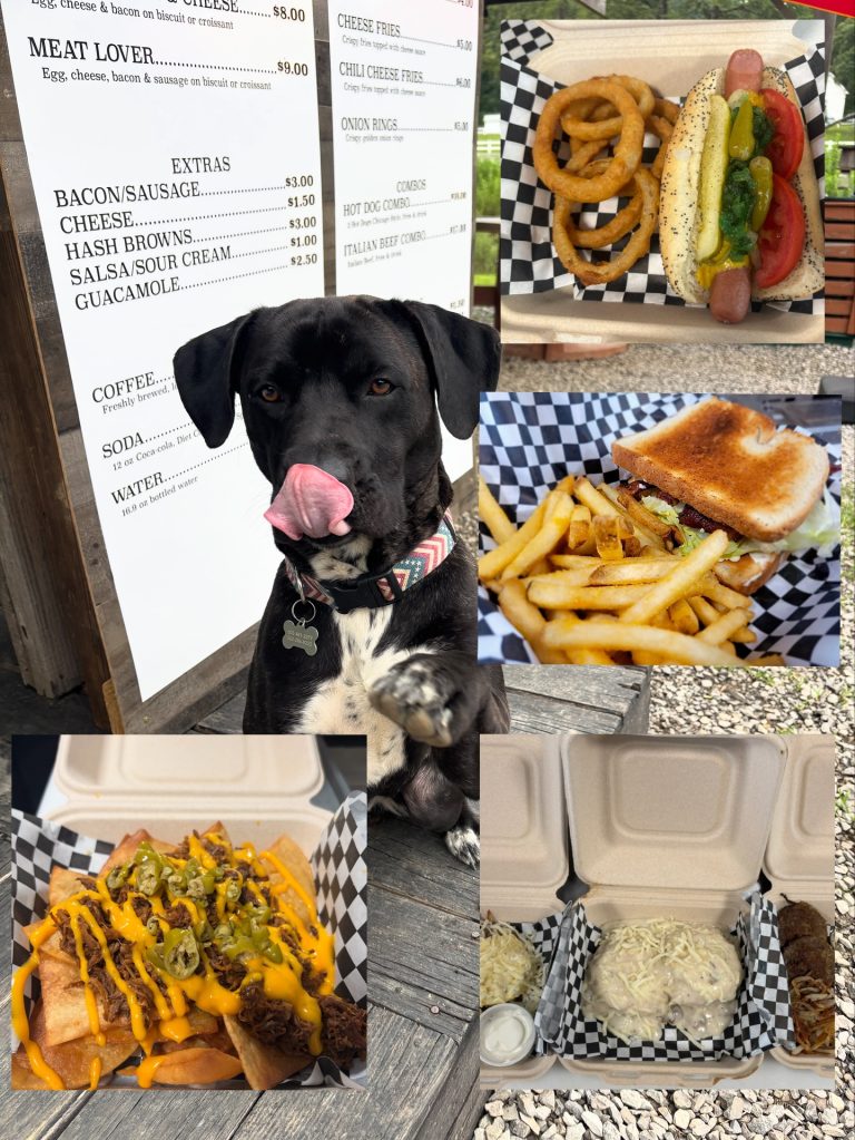 22222222222222222222 768x1023