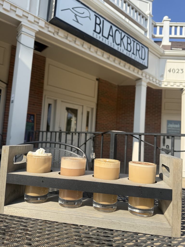 blackbird 2 768x1024