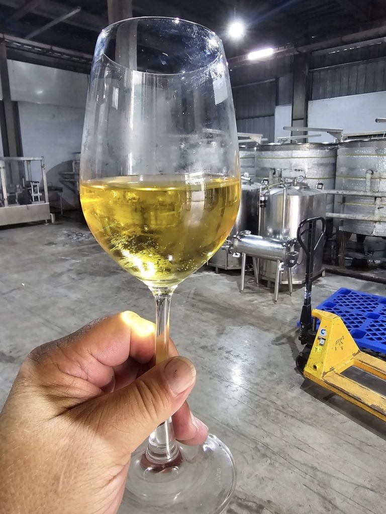 the forge 4 768x1024